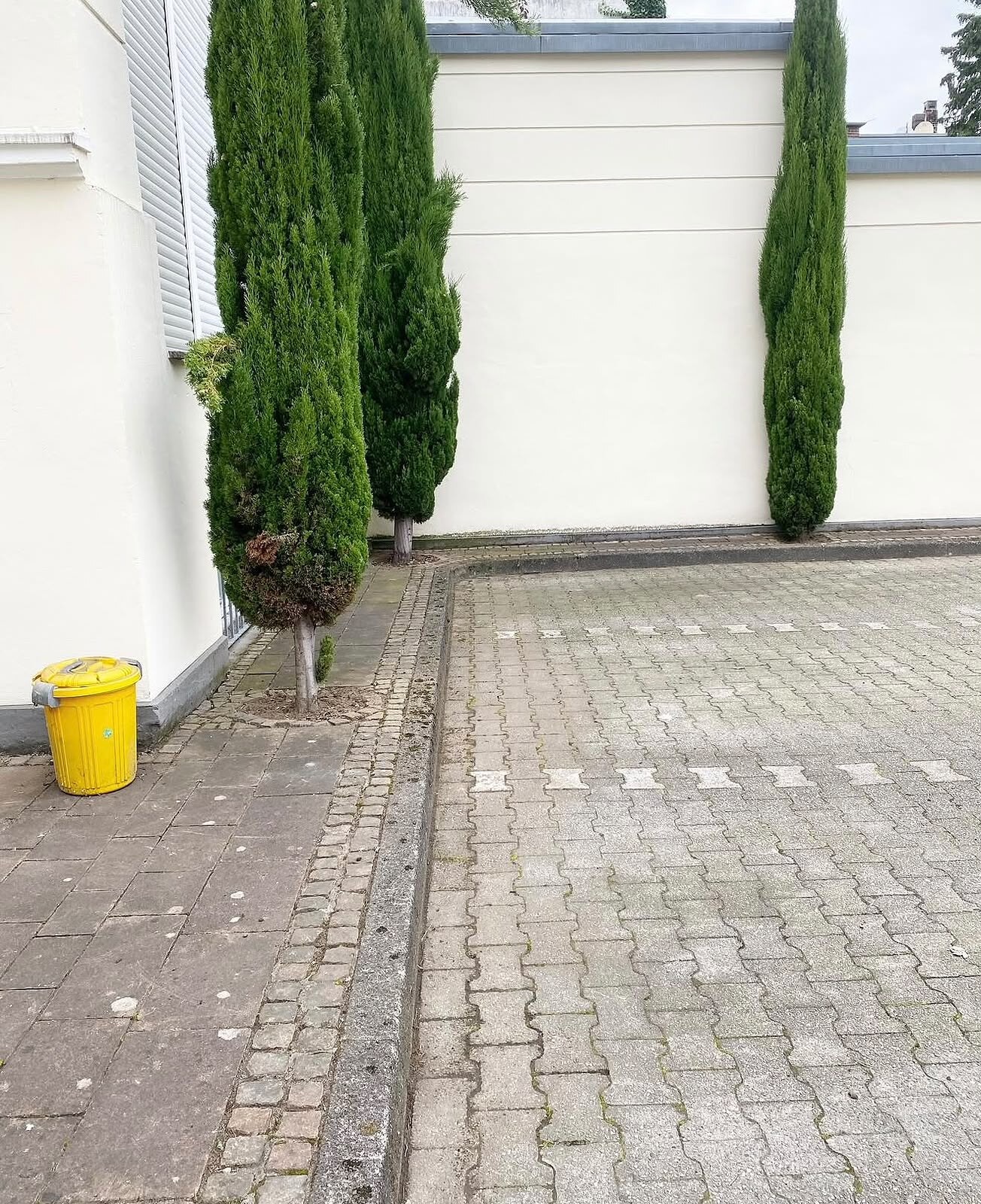 Dieselbe Fläche nach Unkrautentfernung und Reinigung